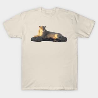 Lioness on the rock - Lion - Predator - Africa T-Shirt